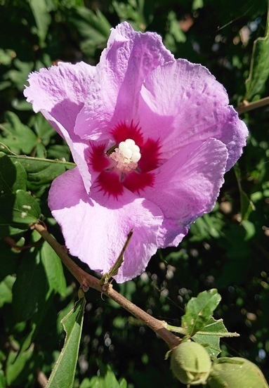 DSC_0006.JPG