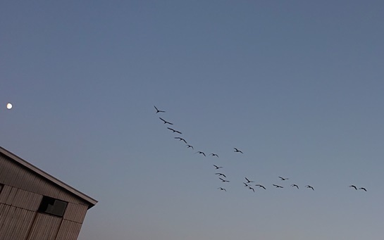 DSC_0026.JPG