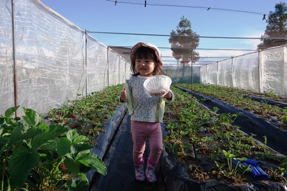 IMGP0999 - コピー.JPG