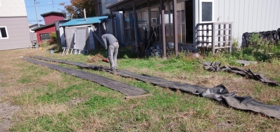 IMGP3047.JPG