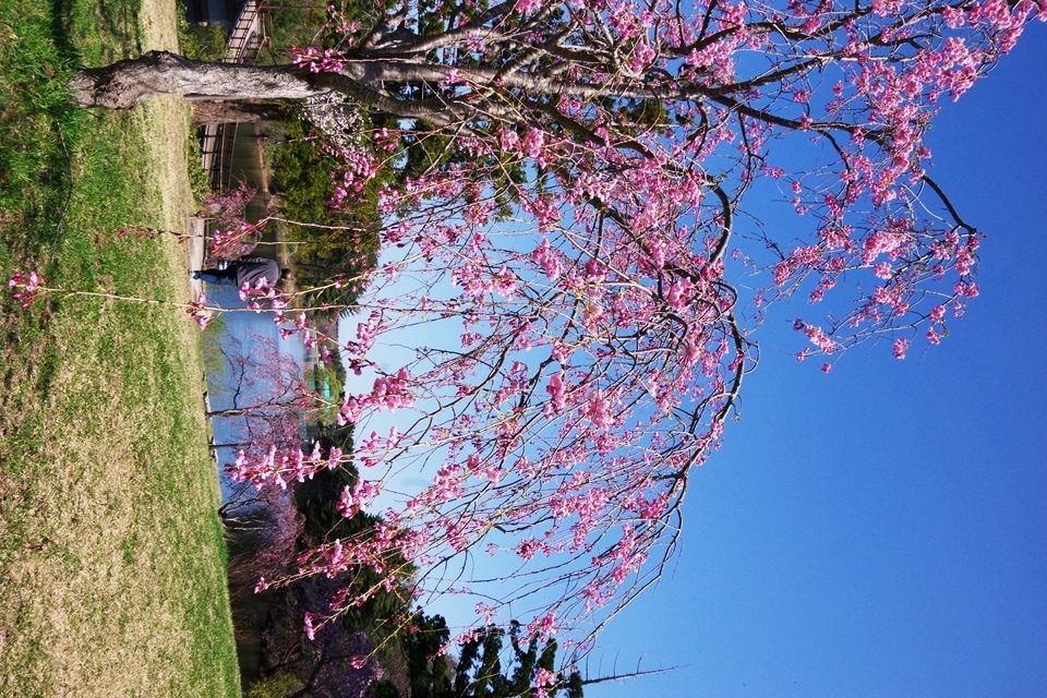 IMGP3055.JPG