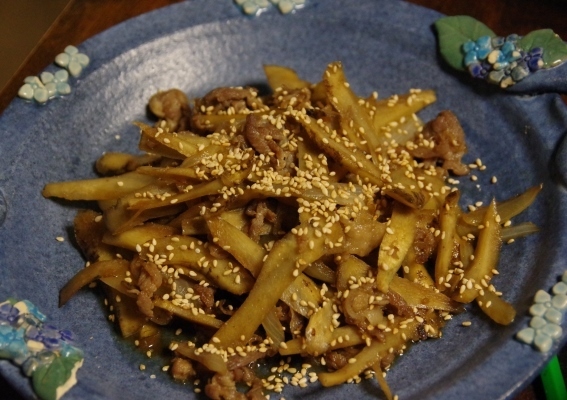 IMGP3147.JPG