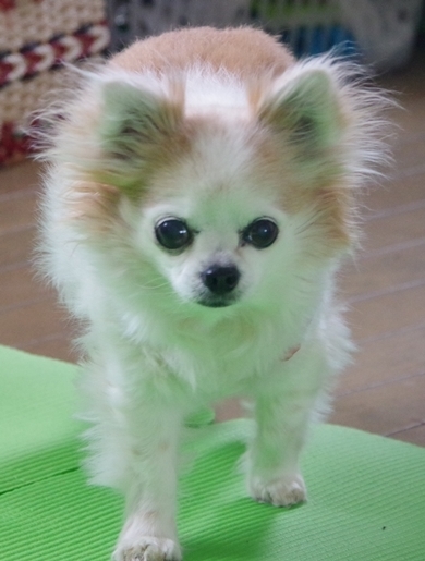 IMGP5287.JPG