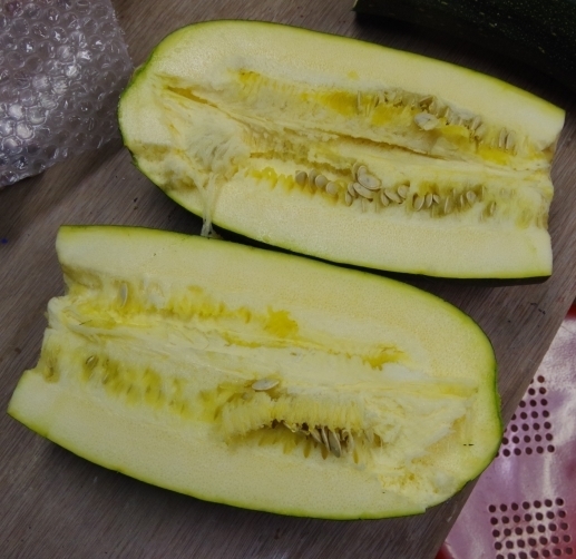 IMGP5383.JPG