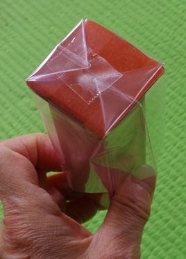IMGP6619.JPG
