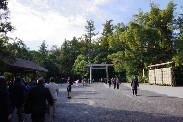 IMGP7744.JPG