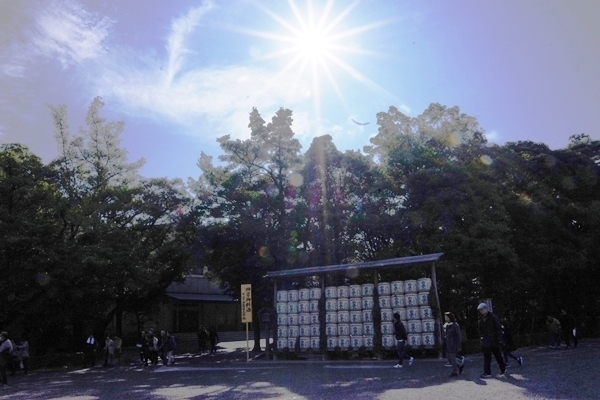 IMGP7767.JPG