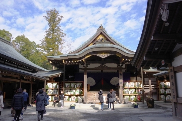 IMGP7791.JPG