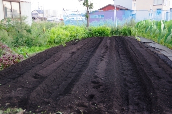 IMGP9600.JPG