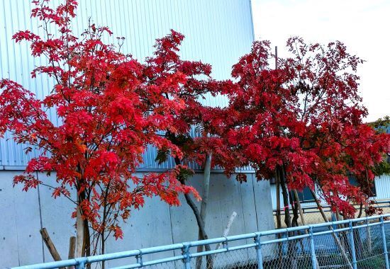 PXL_20231028_220501862.jpg