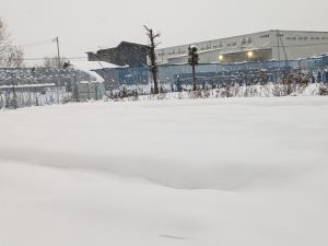 PXL_20231130_071838419.jpg