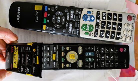 PXL_20240125_021948061.jpg