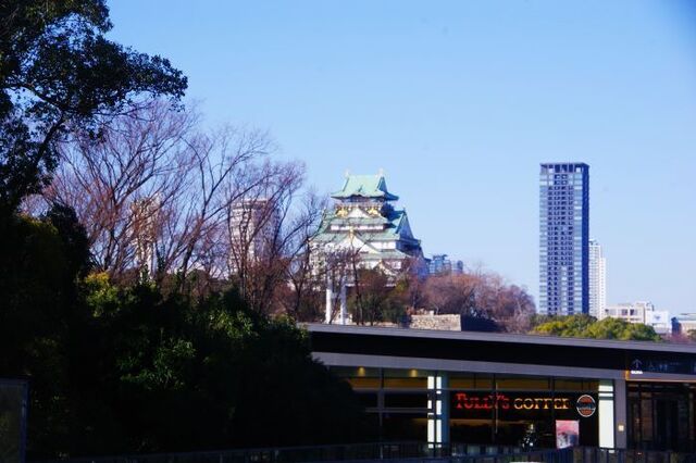 IMGP7221.JPG