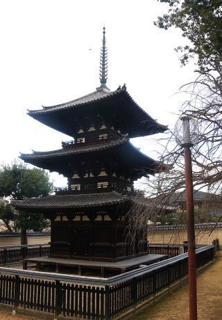 IMGP7313.JPG