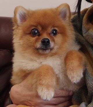 IMGP7610 - コピー.JPG