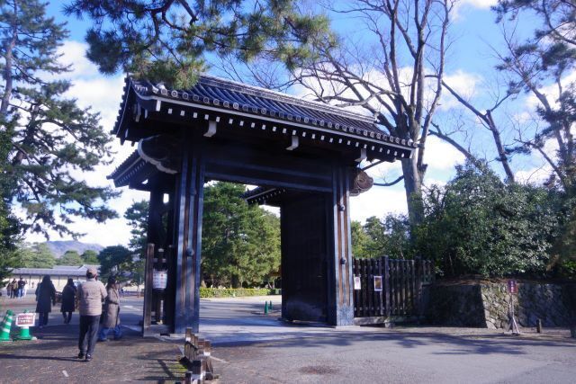 IMGP7615.JPG