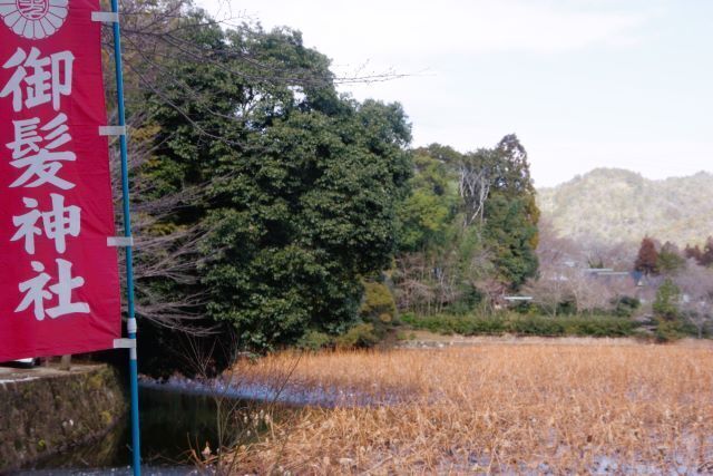 IMGP7690.JPG